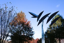 pastoral-slideshow-6